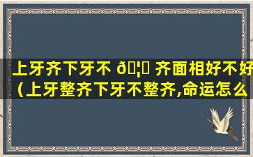 上牙齐下牙不 🦟 齐面相好不好（上牙整齐下牙不整齐,命运怎么样）